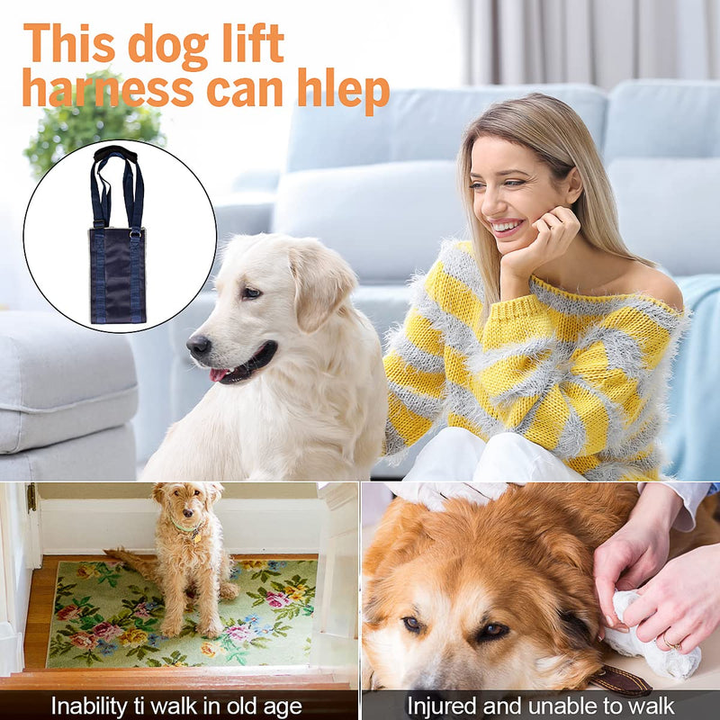 Dog Lift Support and Rehab Harness for Weak Rear Legs, for Canine Aid and Old Cruciate Ligament Rehabilitation, Soft Dog Rear Harness Assist The Dog Who are Senior, Injured, Disabled - PawsPlanet Australia