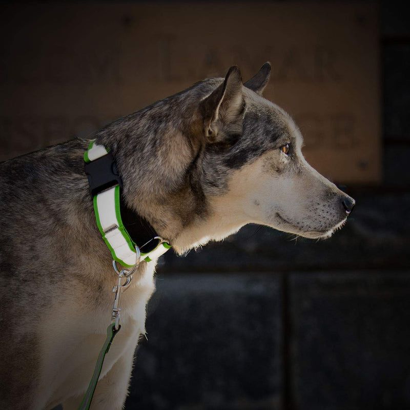 If It Barks - 1.5" Reflective Martingale Collar with Quick Snap Buckle for Dogs - Adjustable - Made in USA - Strong, Durable, and Comfy - Ideal for Training - Fits Most Breeds - Small, Pink Small w/Buckle - PawsPlanet Australia