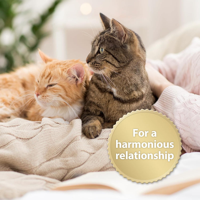 Felisept Family Comfort Refill 45ml - Conflict and Stress for Cats - With Natural Catnip Without Pheromones - Relaxation in a House with Multiple Cats (Pack of 2)