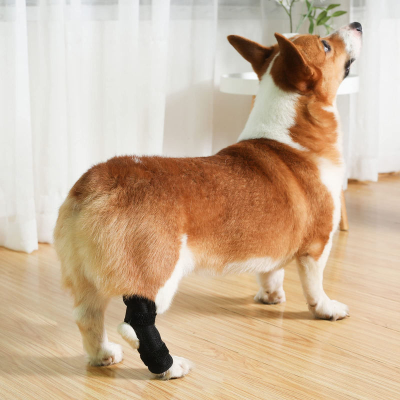Dog Knee Braces for Hind Leg,Dog Hind Leg Orthotics for Dogs with ACL Kneecap Dislocation, Arthritis, Dog Hind Leg Orthosis Attachment Strap for (M)