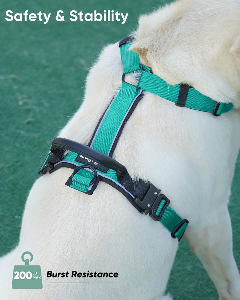 Premium Y-Shaped Dog Harness for Training & Daily Walk,No-Pull Adventure Harness with Handle & 3 Leash Hook Points,Durable Nylon (Turquoise, M (Neck 48-74cm, Chest 58-81cm)) Turquoise M (Neck 19″ - 27″, Chest 24″ - 30″) - PawsPlanet Australia