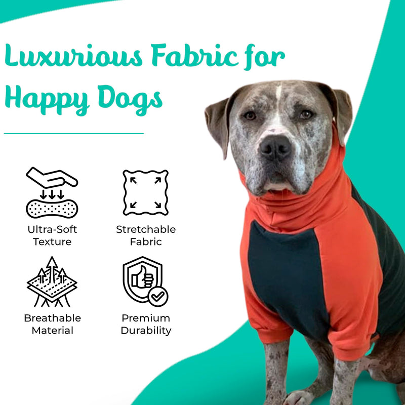 Tooth & Honey Pitbull Dog Sweater - Dark Green & Orange (Large) Large - PawsPlanet Australia