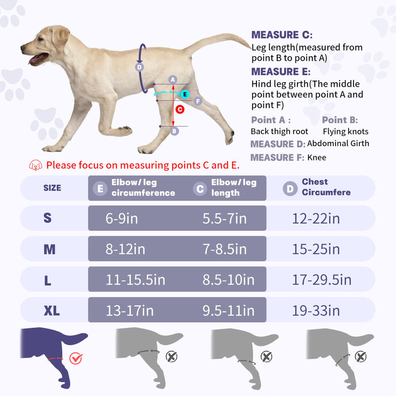 Adjustable Canine Knee Brace for Back Leg with Metal Support Strip,Keeps Joints Stable & Support Dog's Leg,Size L.