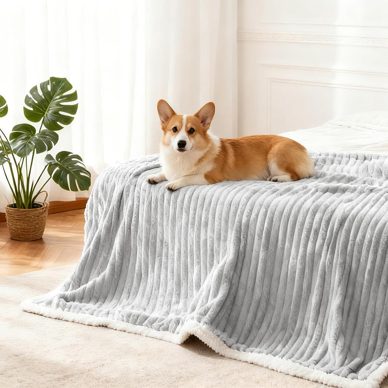 Waterproof Dog Blanket Soft Pet Cat Blanket Cozy Calming Sherpa Corduroy Fleece Blanket Reversible Furniture Bed Protector for Small Dogs Machine Washable Puppy Blanket, Grey 40x50 in L/40"x50" - PawsPlanet Australia