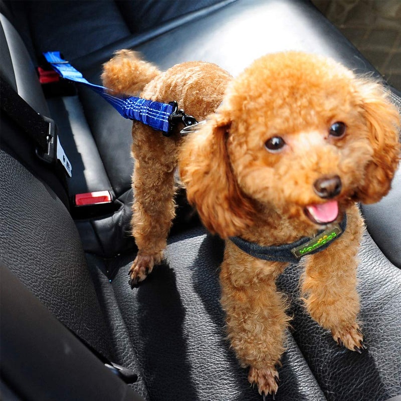 Petpopo 3 Colors Dog Safety Seat Belt,Quality Polyester Fabric,Adjustable,360° zinc Alloy Buckle,with Elastic,High Strength,Wear-Resistant and Durable,Easy to Install,Easy to Wash Blue - PawsPlanet Australia