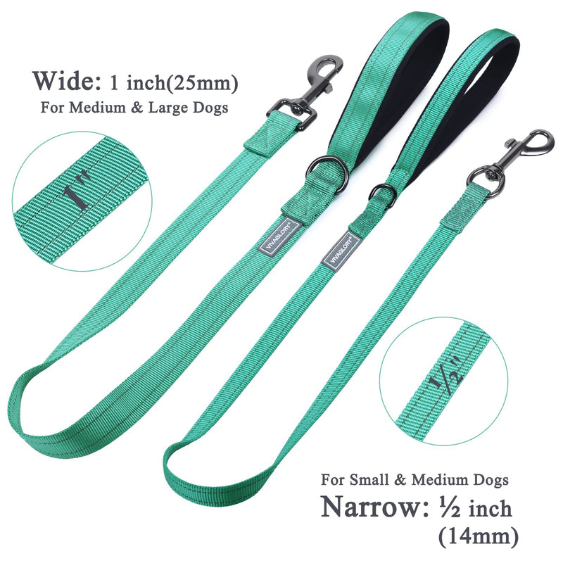 VIVAGLORY Dog Leash Dailyx Pet Leash with Soft Padded Handle for Training & Walking, Heavy Duty & Double Layer Nylon for Pet Puppy, 4ft x 1in, Green Leash (4 ft. x 1 in.) - PawsPlanet Australia