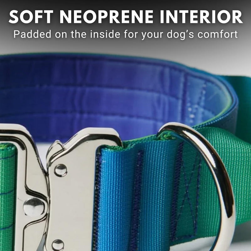 Spark Paws Tactical Dog Collar - Heavy Duty, Premium Quality, Thick and Durable for Large and Medium Dogs - Lime Wave - M M: 50-85 lbs [2" wide] - PawsPlanet Australia