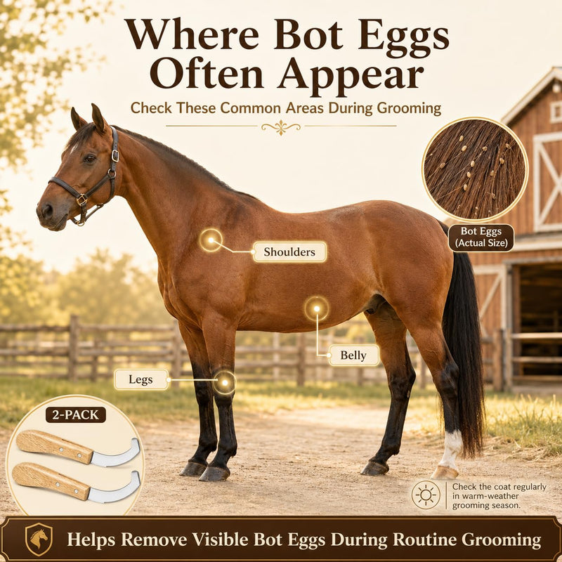 Bot Egg Knife for Horses, 2 Pack Bot Fly Egg Remover Tool with Wooden Handle, Stainless Steel Curved Serrated Blade, Horse Grooming Knife for Visible Eggs, Loose Hair and Debris