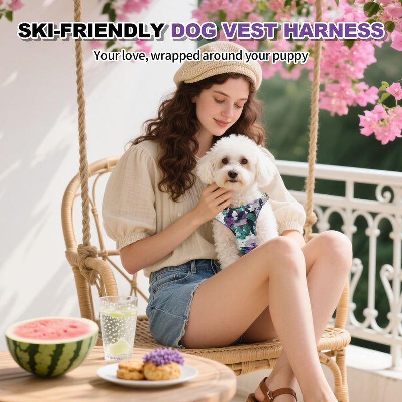 XXS Dog Harness and Leash Set Lightweight Pet Harnesses with Cute Bowtie Floral Pattern, Adjustable Escape Proof Puppy Vest Extra Small Size Dogs for Daily Walking Parties Holiday Purple Purple Flower XXS - PawsPlanet Australia