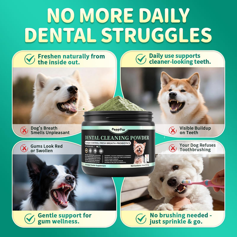 Dog Dental Powder – Teeth Cleaning Powder with 6B CFU Probiotics, Enzymes & Antioxidants, Plaque & Tartar Off, Fresh Breath Support, 75 Days, Mint Chicken Flavor, No Brushing Oral Care Mint-Chicken 75 Servings - PawsPlanet Australia