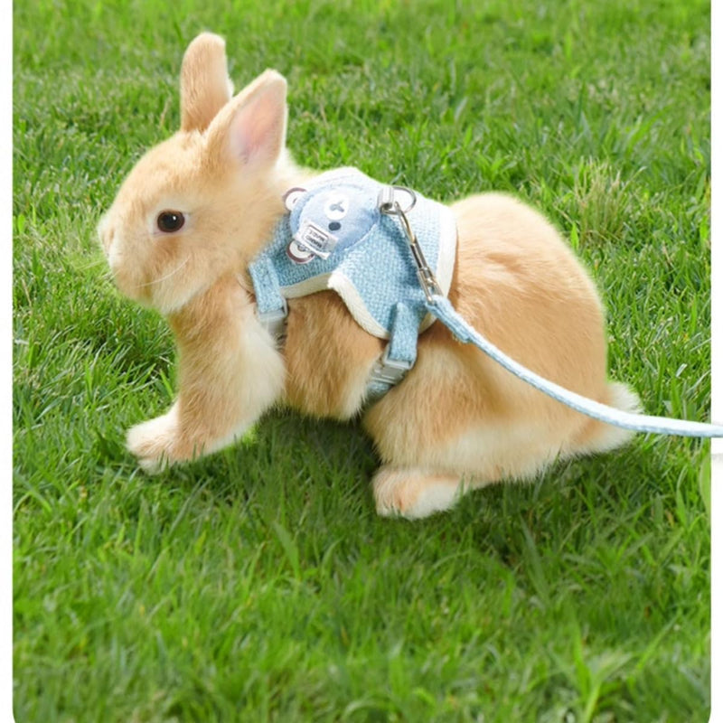 Rabbit Harness and Leash Set Adjustable Bunny Harness Leash Ferret Harness Guinea Pig Harness Ferret Leash for Small Pets Walking Outdoor (Small,Pink) Pink - PawsPlanet Australia