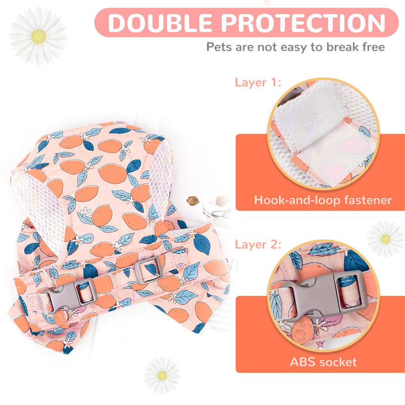 BAEJMJK Dog Harness and Leash Set with Bow Knot No Pull Pet Floral Harness with D-Ring Soft Mesh Dog Harness Vest Set Escape Proof Princess Puppy Harness for Small Girl Dogs Cats（Orange M） Medium Orange - PawsPlanet Australia