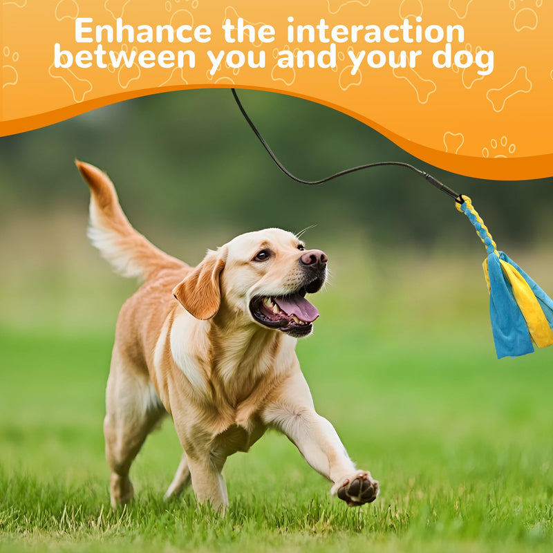 Flirt Pole for Dogs, Interactive Dog Toys Extendable Teaser Wand with Lure Chewing Toy, Chase and Tug of War for Small Medium Large Dogs Training Playing Exercise 2 Switch-40.5 inch - PawsPlanet Australia