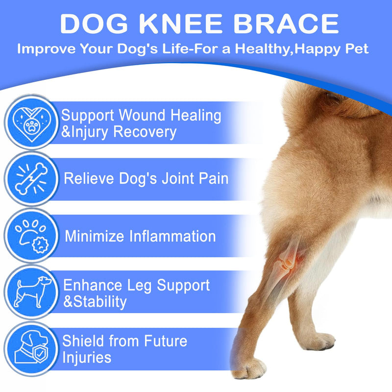 Dog Knee Brace for Torn ACL Hind Leg for Support Reflective Dog Joint Protection Arthritis Pain Relief Adjustable Recovery Brace for Dogs Front Back Leg Vet-Recommended L Blue