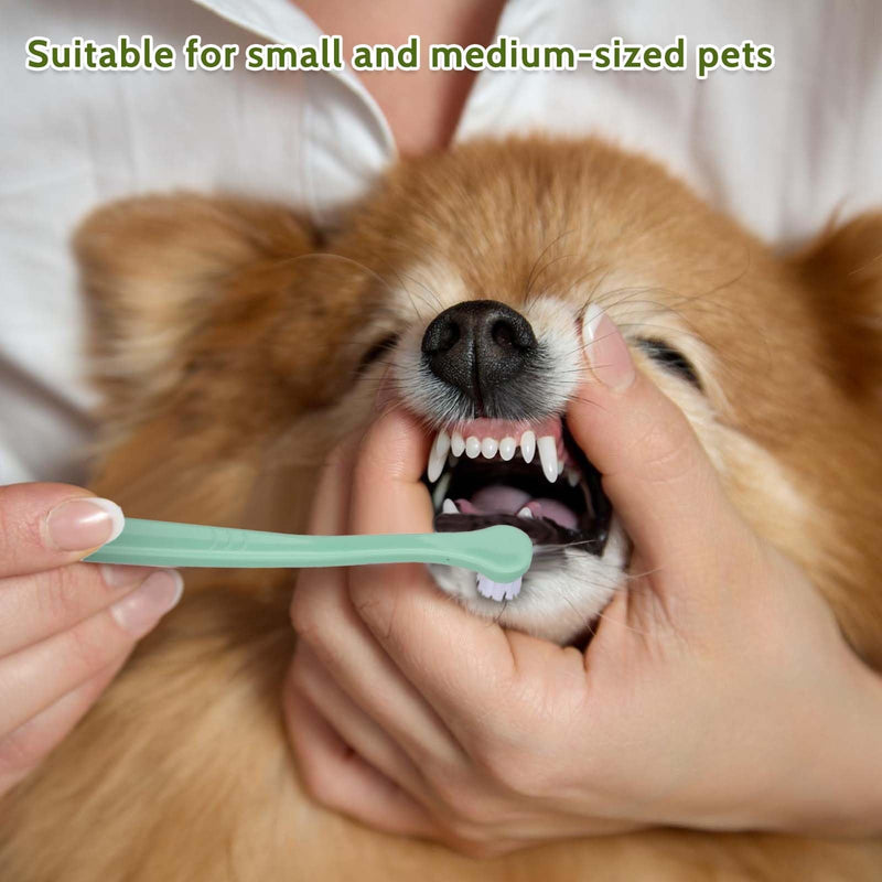 4 Pack Small Dog Toothbrush Pet Toothbrush Cat Tooth Brush Puppy Toothbrush Mini Head Soft Dog Cat Tooth Brush Deep Clean Kit for Puppy,Kitten,Small Dog & Cat,Portable Travel Friendly and Easy to Use - PawsPlanet Australia