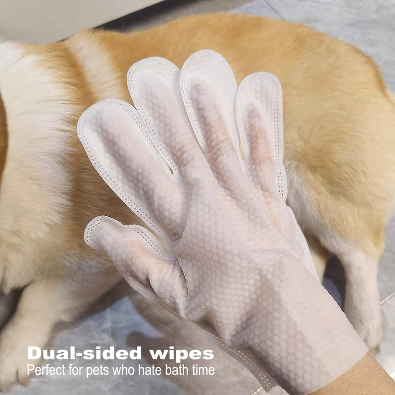 Mr Hsiung & Mrs Yin Pet Glove Wipes for Dogs & Cats (6-Count) - Hypoallergenic Cat Cleaning Wipes, Water-Based & Fragrance-Free Pet Wipes for Gentle Cleaning of Paws, Body & Fur - PawsPlanet Australia