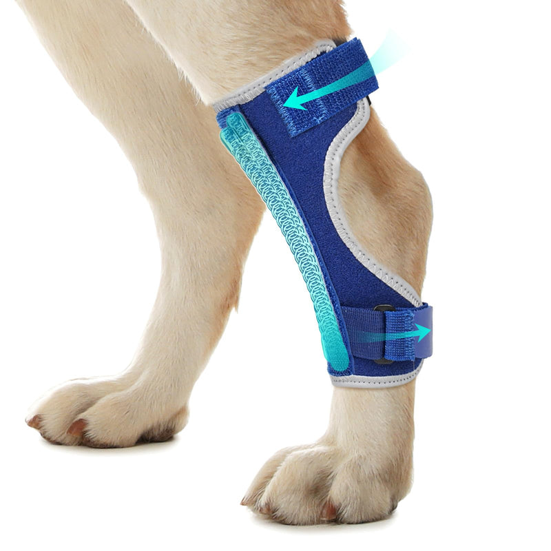 Dog Leg Braces for Back Leg- Hock and Ankle Joint Support Brace for Rear Legs with 2 Metal Strips, Reflective Edging for Sprain, Injury, Arthritis, Wound Recovery,Blue,XL