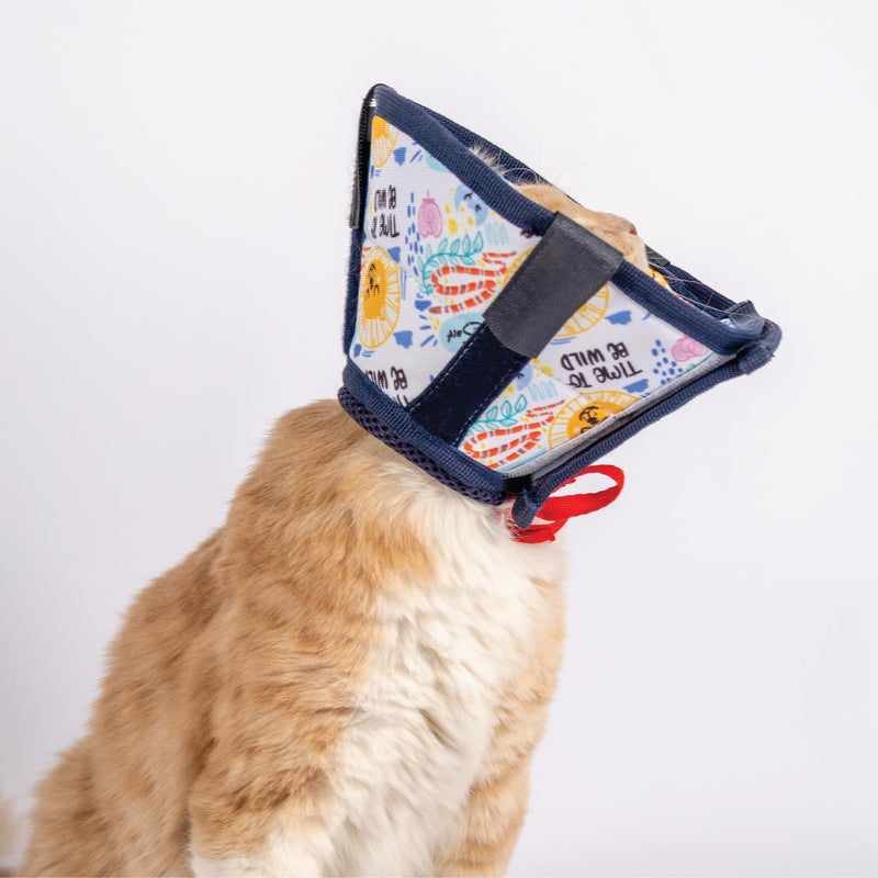 Cat Cone Collar – Colorful Cat Pattern - Lightweight Recovery Cone for Cats, Anti-Lick & Anti-Scratch, Vet Recommended, Elizabethan Collar (Colorful, XXS Long [Neck Girth: 7.5"-10.3"]) XXS Long [Neck Girth: 7.5"-10.3"]