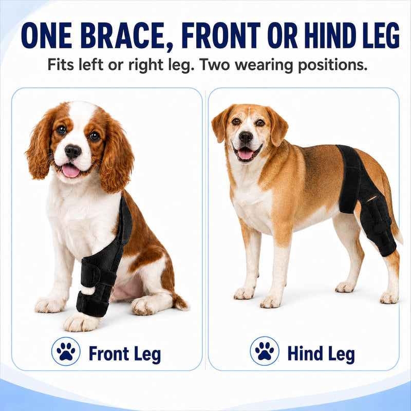 Dog Knee Brace for Hind Leg Support, Adjustable Canine Knee Brace for ACL/CCL Stability Support, Breathable Neoprene Leg Brace with 2 Side Stabilizers (M) M