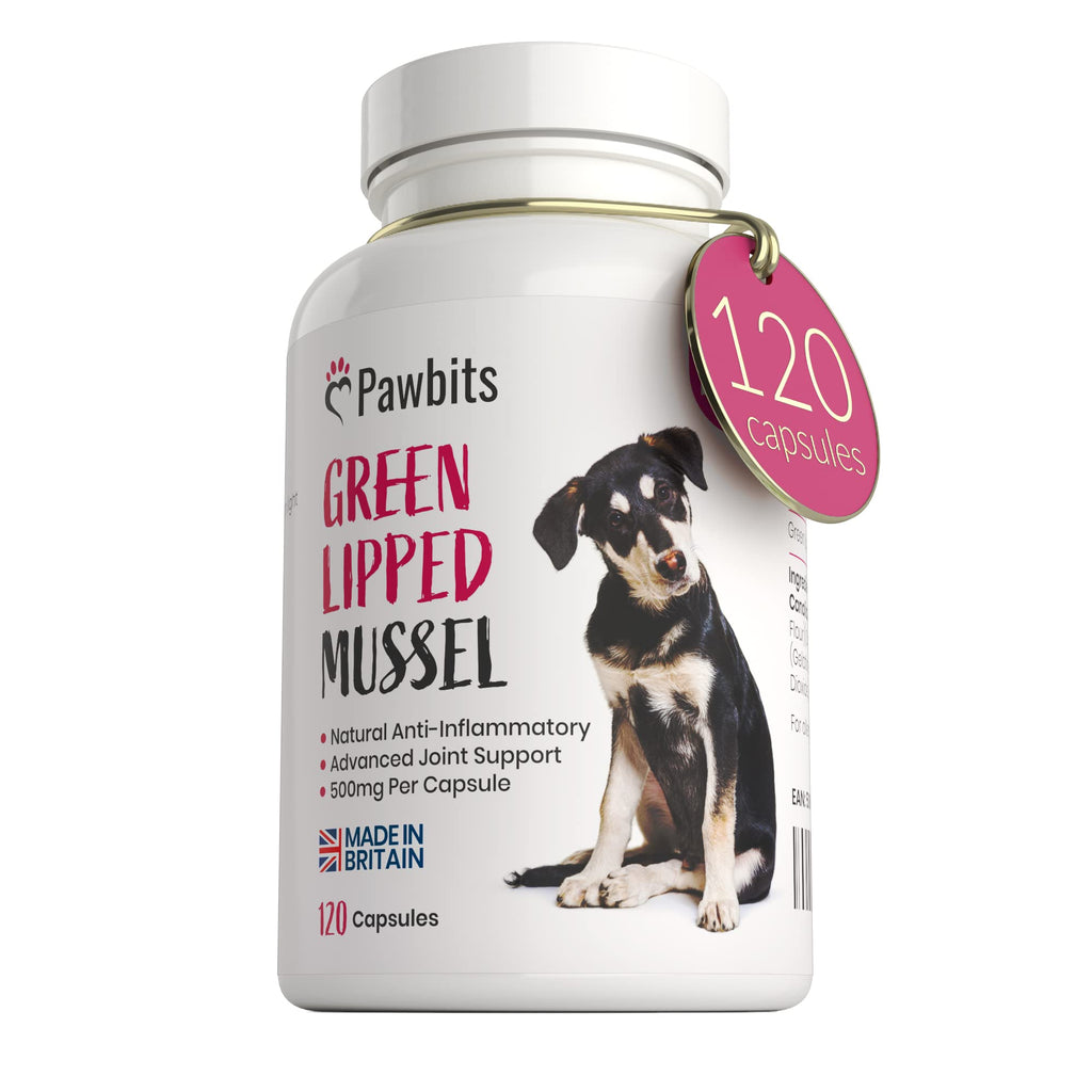 Pawbits 120 Green Lipped Mussel For Dogs 500mg Hip & Joint Support Powder Capsules (Not Tablets) for Dogs - Containing Premium New Zealand Mussel Natural Dog Joint Supplements – UK MADE - PawsPlanet Australia
