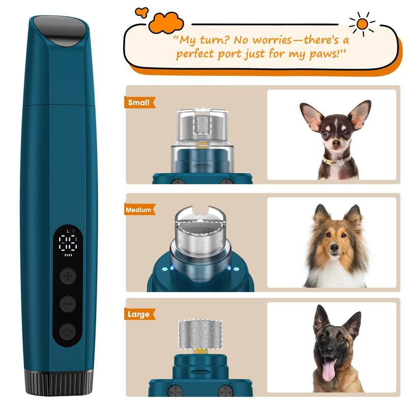Dog Nail Grinder with LED Light, 6-Speed Quiet Electric Pet Nail Trimmers, Forward/Reverse, Powerful No-Stall Motor, 2000mAh Battery 8H Runtime, 95% Dust Capture for Dogs & Cats