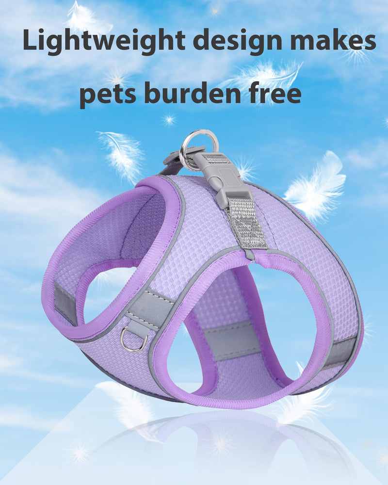 Dog Harness for Small Medium Sized Dog, Step in Puppy Harness and Leash Set Training Walking. (Purple, XS) Purple - PawsPlanet Australia
