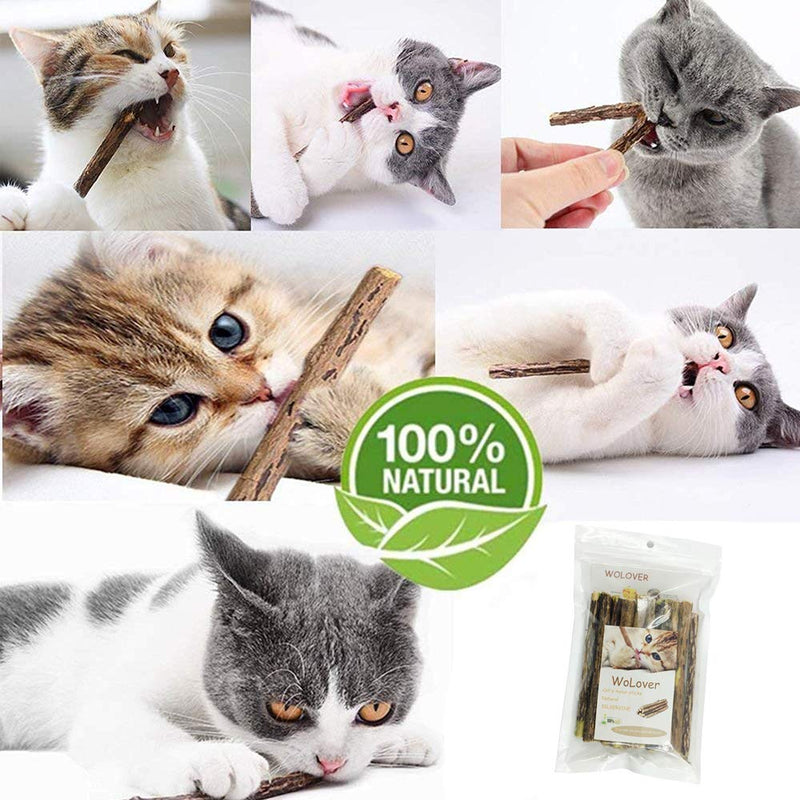 Silvervine Sticks for Cats, Natural Catnip Sticks Matatabi Chew Sticks Teeth Molar Chew Toys for Cat Kitten Kitty (at Least 12 PCS) 12 Count (Pack of 1)