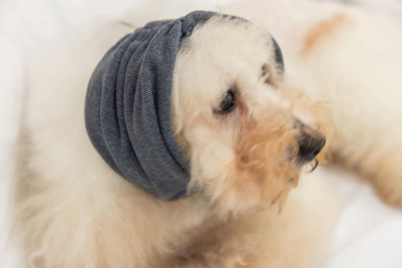 Dog Blow Dryer Ear Cover,Dog No Flap Ear Wrap Anxiety & Stress Relief - Dog Ear Flap Wrap for Surgery Recovery Grey M Medium - PawsPlanet Australia