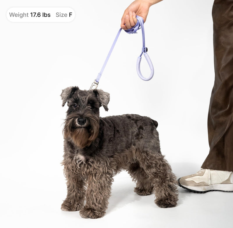 Ultra Lightweight Cat Leash Adjustable with Padded Handle, Soft Thin Nylon Cat Walking Training Waist Crossbody Leash for Kitten>4lbs Small Medium Large Cats Puppy, No Harness (Vivid Red) Vivid Red (No Harness) - PawsPlanet Australia