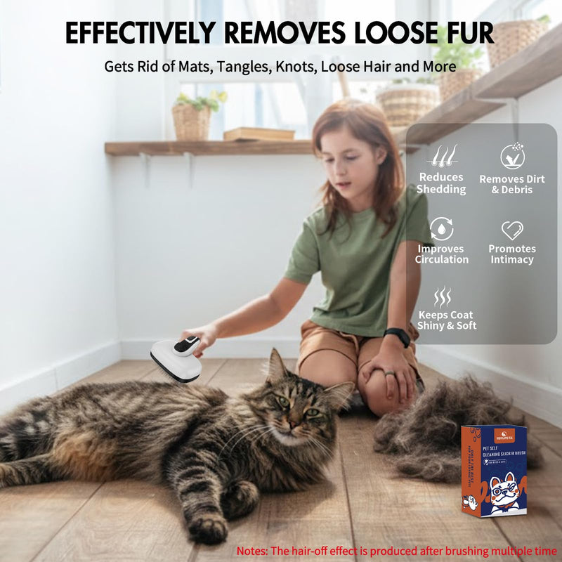 Cat Brushes for Indoor Cats - Self Cleaning Slicker Brush for Shedding Short & Long Haired Dogs, Skin Friendly Deshedding Grooming Tool to Removes Loose Fur, Mats,Tangles & Undercoat, Gray - PawsPlanet Australia
