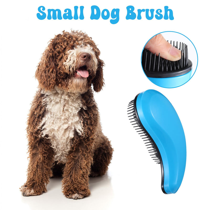 Small Dog Brush, Puppy Brushes for Grooming, Gently Cleaning Slicker Hair Brush for Teddy, Yorkies, Maltese, Shih Tzu, Chihuahua, Cats, Rabbits (Blue) - PawsPlanet Australia