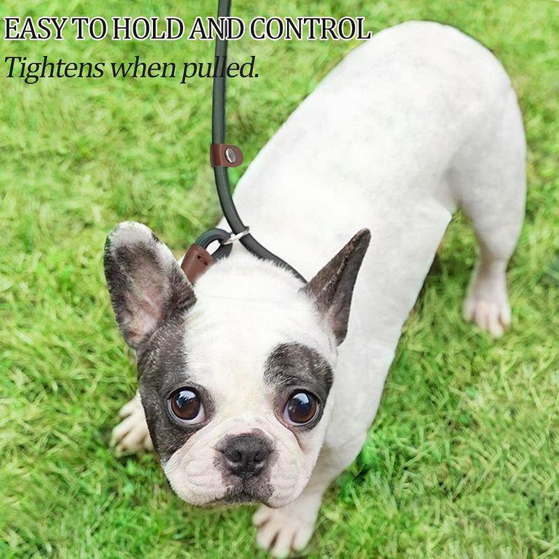 MayPaw Slip Lead Control Leash for Dogs No Pull, 13+ Colors Classic Dog Lead 7 FT Pet Slip Leash, 1/4” Rope Leashes for Small Medium Animals (7ft*1/4", Green) 7ft*1/4" - PawsPlanet Australia