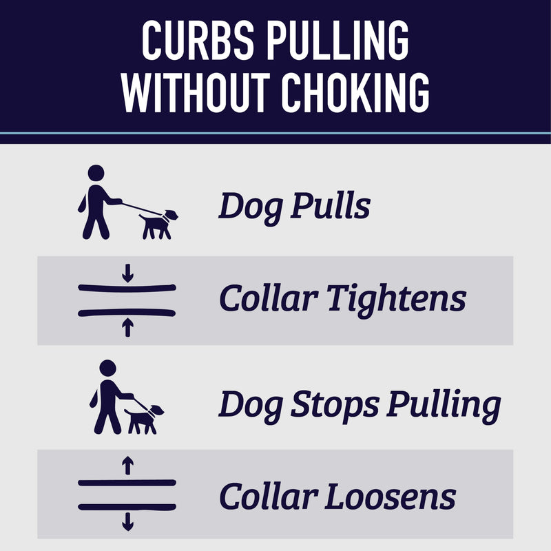Leash Boss Martingale Collar for Dogs - Steel Chain | Reflective Nylon Dog Collar for Large Dogs, Medium and Small Dogs | No Pull Pet Training Collar Small Small (12-14.5" Neck x 3/4" Wide) Blue - Wave - PawsPlanet Australia