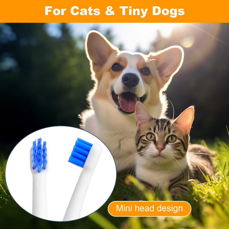 4PCS Small Dog Cat Toothbrush, 15° Curved Head Puppy Toothbrush, Soft Bristle Pet Tooth Brush, Deep Teeth Cleaning for Puppies, Cats, Small Pets, Portable, Travel-Friendly and Easy to Use - PawsPlanet Australia