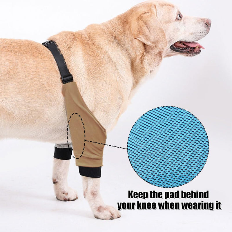 DONGKER Dog Elbow Protector,Dog Front Leg Braces Recovery Sleeve, Pet Knee Brace Wounds for Medium Large Dogs Beige L