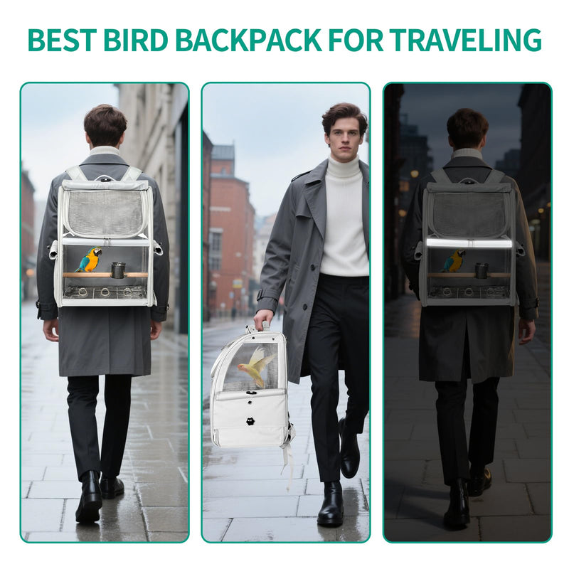 Bird Carrier Bag, Bird Travel Cage with Standing Perch and Indestructible Stainless Steel Mesh, Protable Transparent Breathable Carrier with Feeder Cups for Small Birds Parrot Parakeet, Grey L Gray
