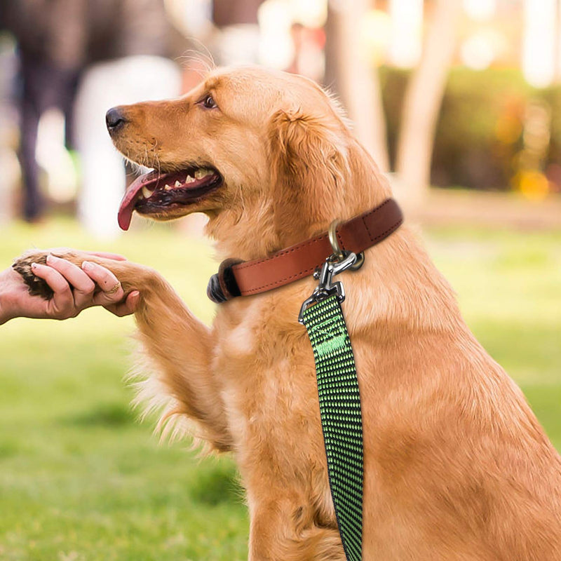 Hi Kiss Dog/Puppy Obedience Recall Training Agility Lead - 15ft 20ft 30ft 50ft 100ft Training Leash - Great for Training, Play, Camping, or Backyard(100ft,Black_Green) 100 Feet S4.black_green - PawsPlanet Australia
