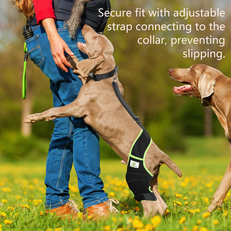 Dog Knee Brace for Hind Legs with Extra Collar & Strap - Relieves Joint Pain & Discomfort, Enhances Mobility | Supports Recovery from Osteoarthritis, Torn ACL/CCL, Luxating Patella | Adjustable (L) Large - PawsPlanet Australia