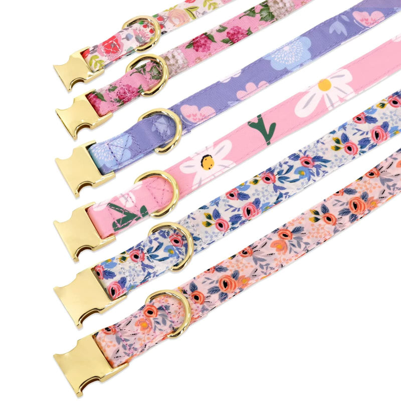 Beirui Cute Girl Dog Collar and Leash Set for Female Dogs- Floral Dog Collar with Flower for Small Medium Large Dogs Puppy, XS:Neck 8-12", Leash 5FT, Orange-1 XS:Neck for 8.0-13.0", leash 5FT - PawsPlanet Australia