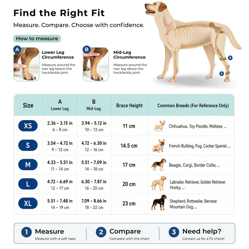 Dog Hock Brace for Ankle Support & Arthritis, Vet Approved Dog Back Leg Brace, Adjustable with Removable Splints, Orthopedic Support for Injuries, Sprains & Post-Surgery Recovery (Medium) Medium