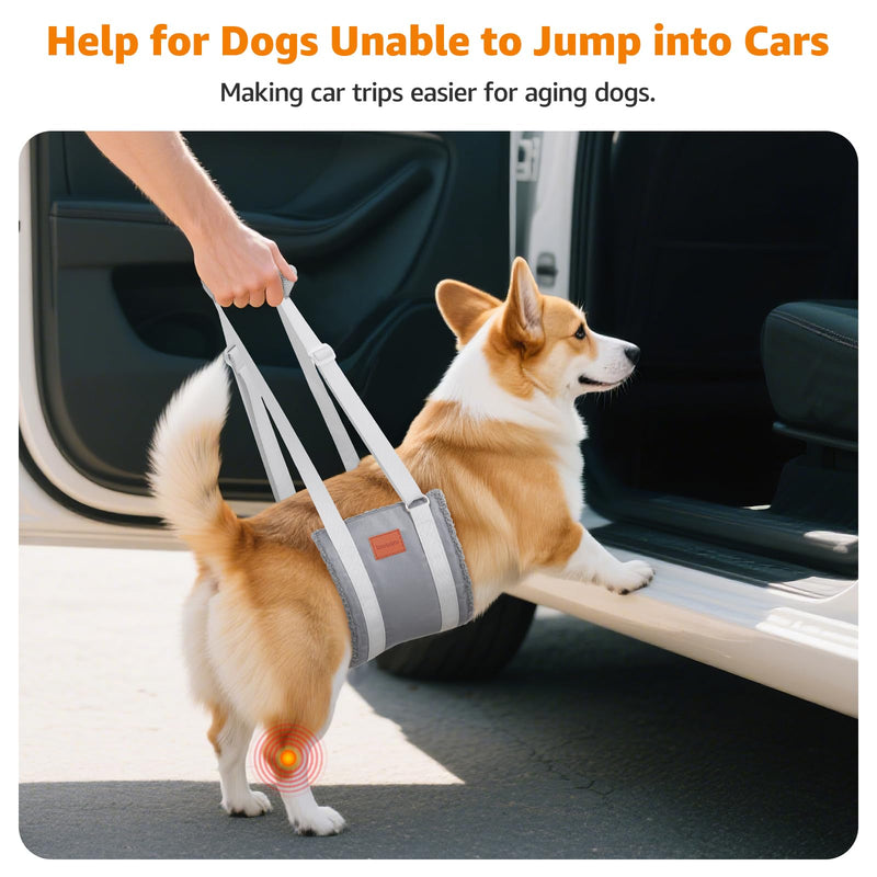 LOOBANI Dog Sling for Medium Dogs Hind Leg Support, Portable Dog Lift Harness for Back Legs, Comfortable Leg Support Assistance for Elderly Dogs with Hip, ACL Brace, Senior, Injured Grey&Grey