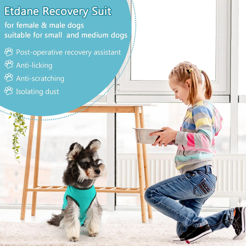 Etdane Dog Recovery Suit After Surgery Onesies Female Male Dog Surgical Vest Pet E-Collar Alternative for Small Medium Dog Blue/X-Small X-Small