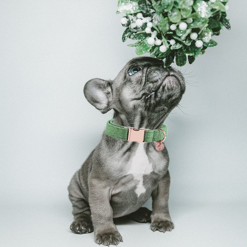 DOGWONG Cotton Dog Collar and Leash, White Dog Collar Pink Dog Collar and Leash for Small Medium Large Dog S green - PawsPlanet Australia