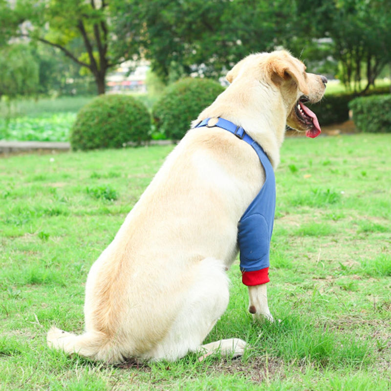 Breathable Elastic Dog Front Leg Adjustable Padded Protectors for Pet Knee Protection and Recovery from Injuries