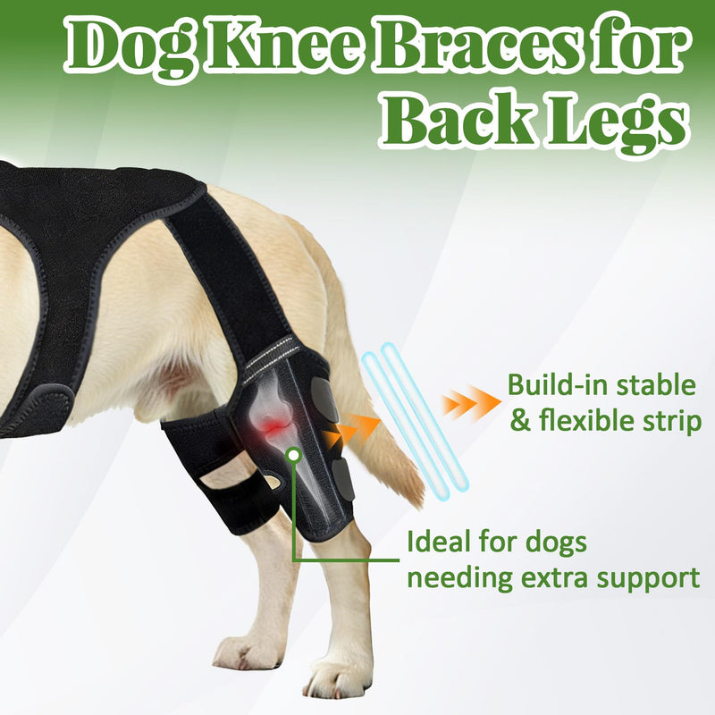Dog Knee Braces for Back Leg, Dog Leg Brace with Vest for Small Medium Large Dogs Knee Support for Dogs ACL/CCL Care Ideal for Dog Back Legs (S)