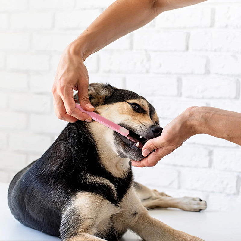 Cabilock Toothbrushes for Dental Care, 3 Pieces, with Soft Bristles for Pets and Durable Plastic for Everyday Use by Dogs and Cats