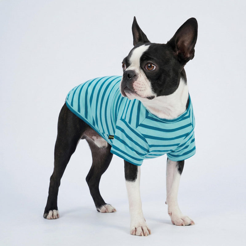 Fitwarm 3 Pack Color Block Striped Dog Shirt, Summer Dog Clothes for Small Dogs, Breathable Lightweight Pet Tshirt with Sleeves, Cat Outfit, Royal Blue, Gray, Teal, Medium RoyalBlue-Gray-Teal - PawsPlanet Australia