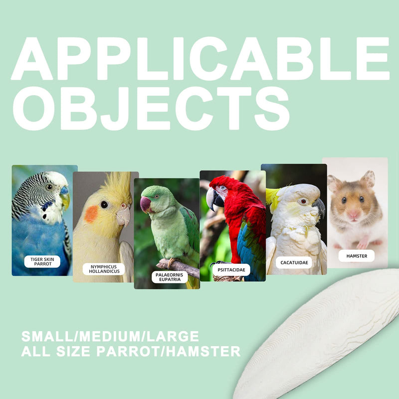 Natural Cuttlebone for Birds Parakeets Canaries Cockatiels Small Conures Mynahs Toucans African Greys All Parrots Snails Totoise, with Holder for Bird Cage (3.9-4.5",2PCS) 4-5 Inch (Pack of 2) - PawsPlanet Australia