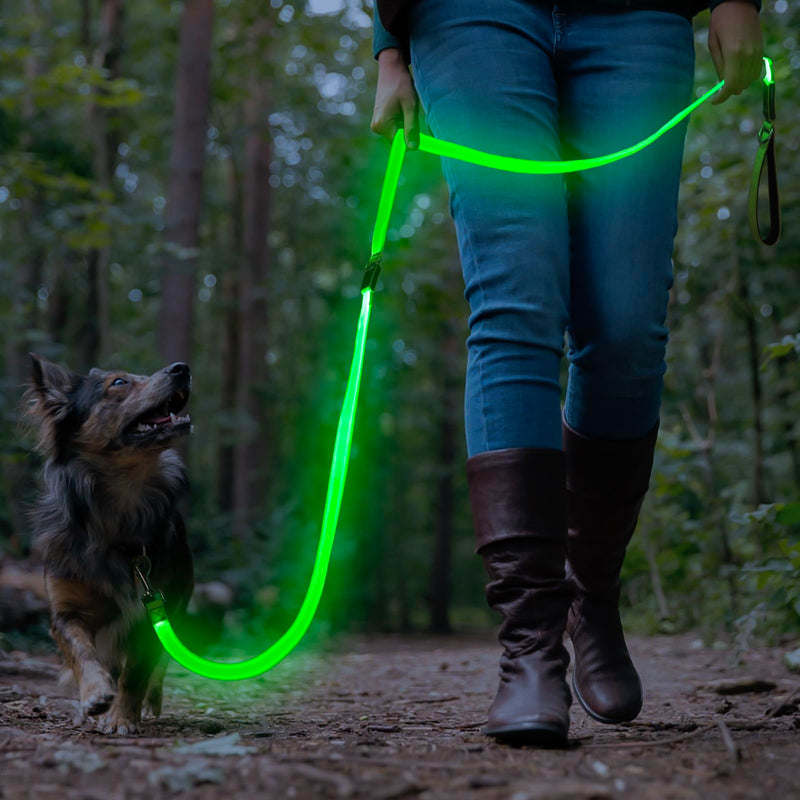 Colaseeme Light Up Dog Leash, LED Pet Leashes USB Rechargeable, Glow Safety Dogs Lights at Night (6FT,Green) Green 6FT