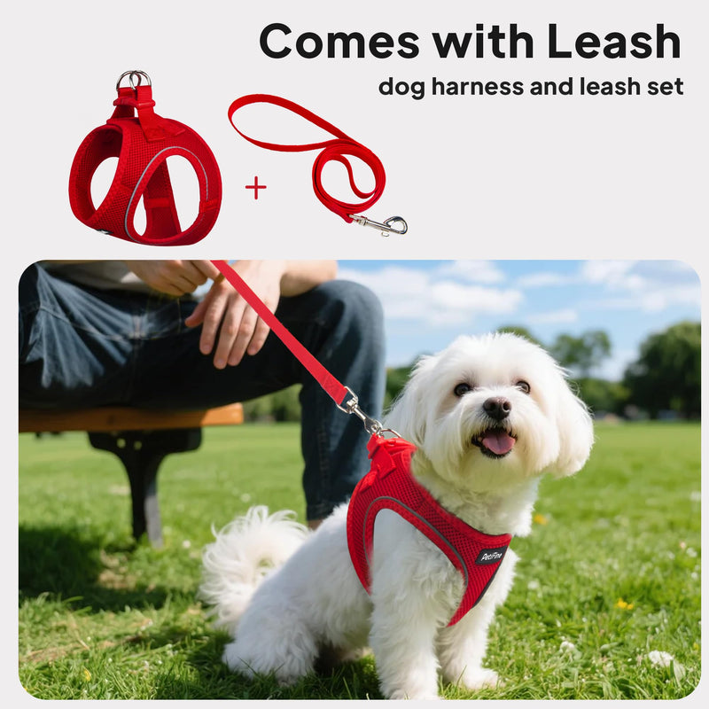 PetiFine Step in Small Dog Harness and Leash Set, Breathable All Weather Air Mesh Reflective Escape Proof, Step-in Vest Harnesses for Puppy(S, Red) S | Neck: 12.6''-13.8'' Chest:16.1''-17.7'' | - PawsPlanet Australia